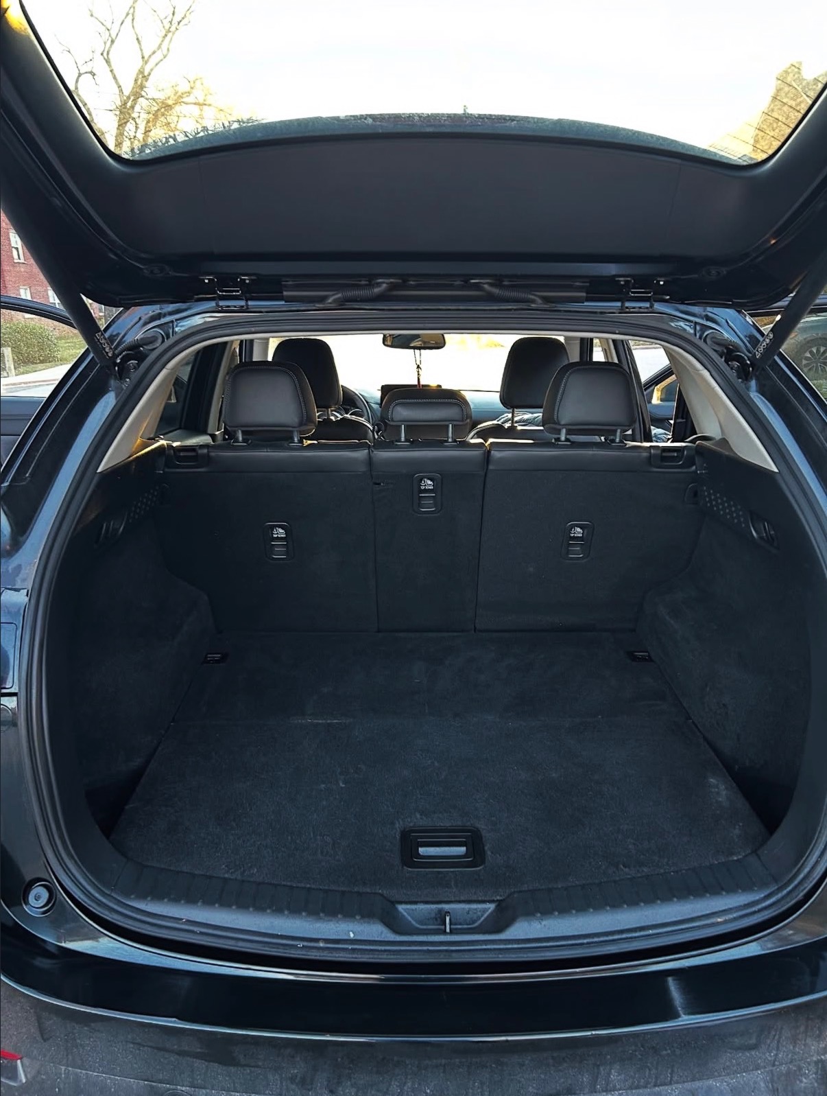 Trunk after detailing