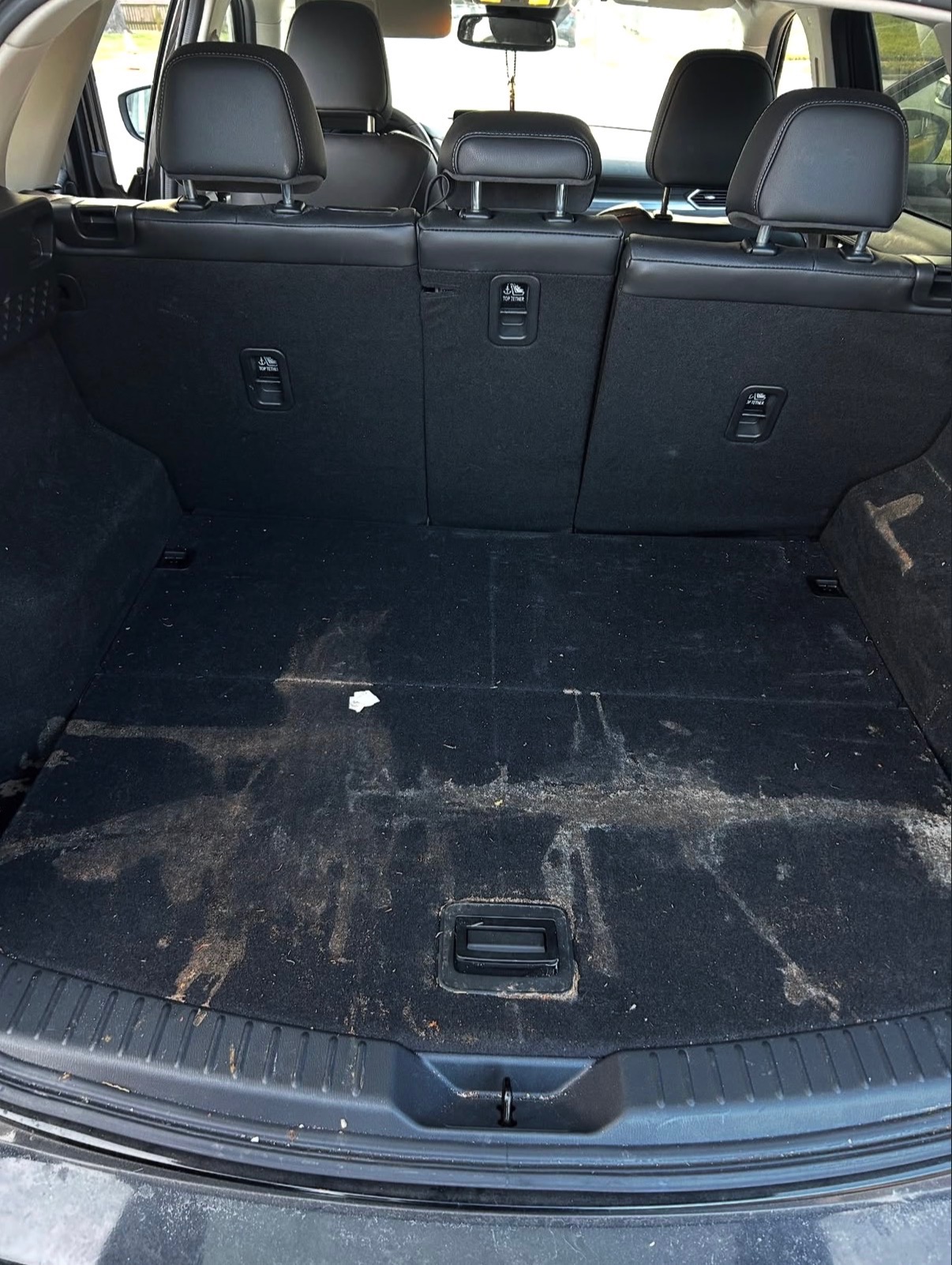 Trunk before detailing